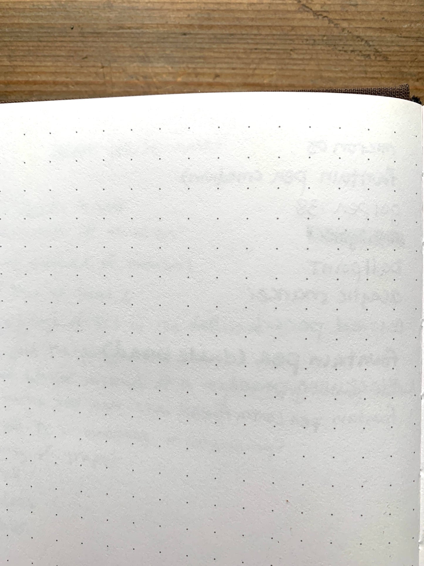 The Wanderer - B6 vegan dot grid notebook, 100gsm ivory pape: Gold