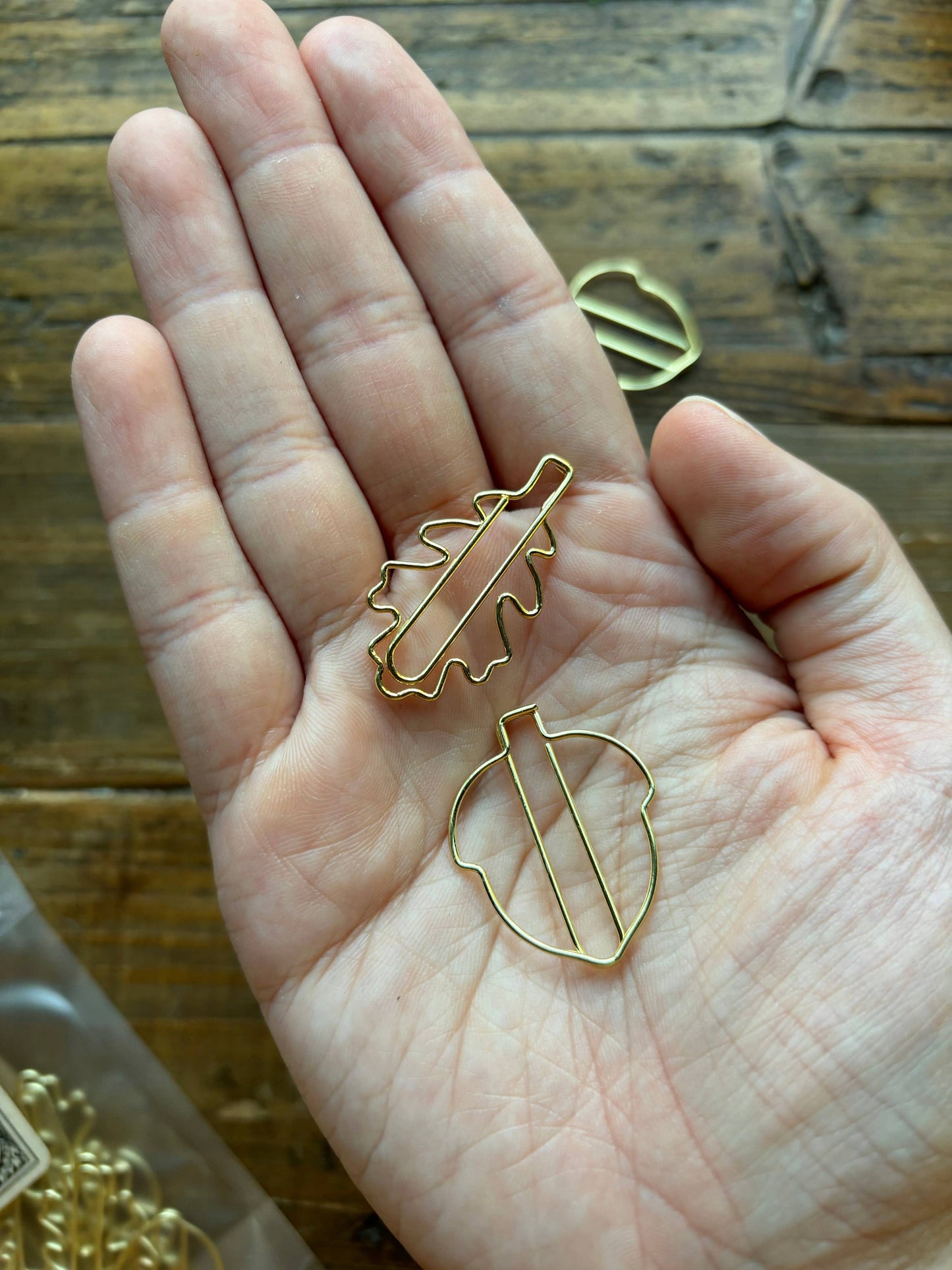 The Creeping Moon - Oak leaf & acorn paper clip set